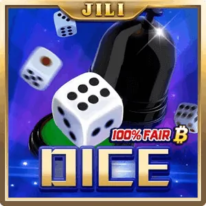 Partner Game 5